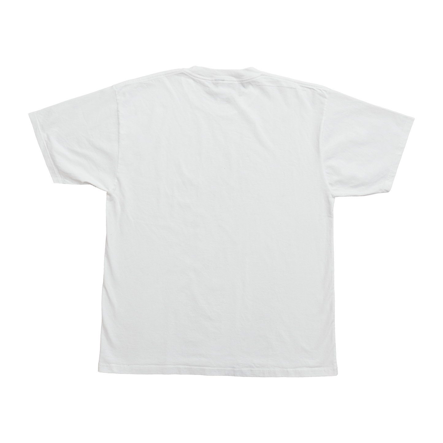 MUST WARN THE OTHERS TEE